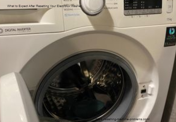 how to reset electrolux washer
